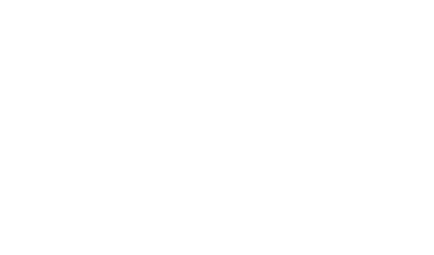 Black Lion